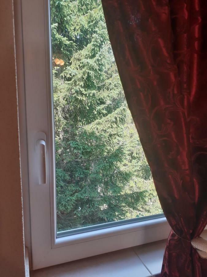 Small Montenegro Žabljak Exteriér fotografie