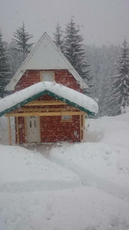 Small Montenegro Žabljak Exteriér fotografie